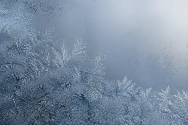 Frost patterns forming across a cold window pane in low winter light.