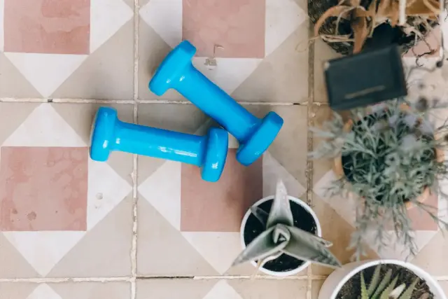 A pair of dumbbells on a tiled floor beside house plants, ready for a home workout.
