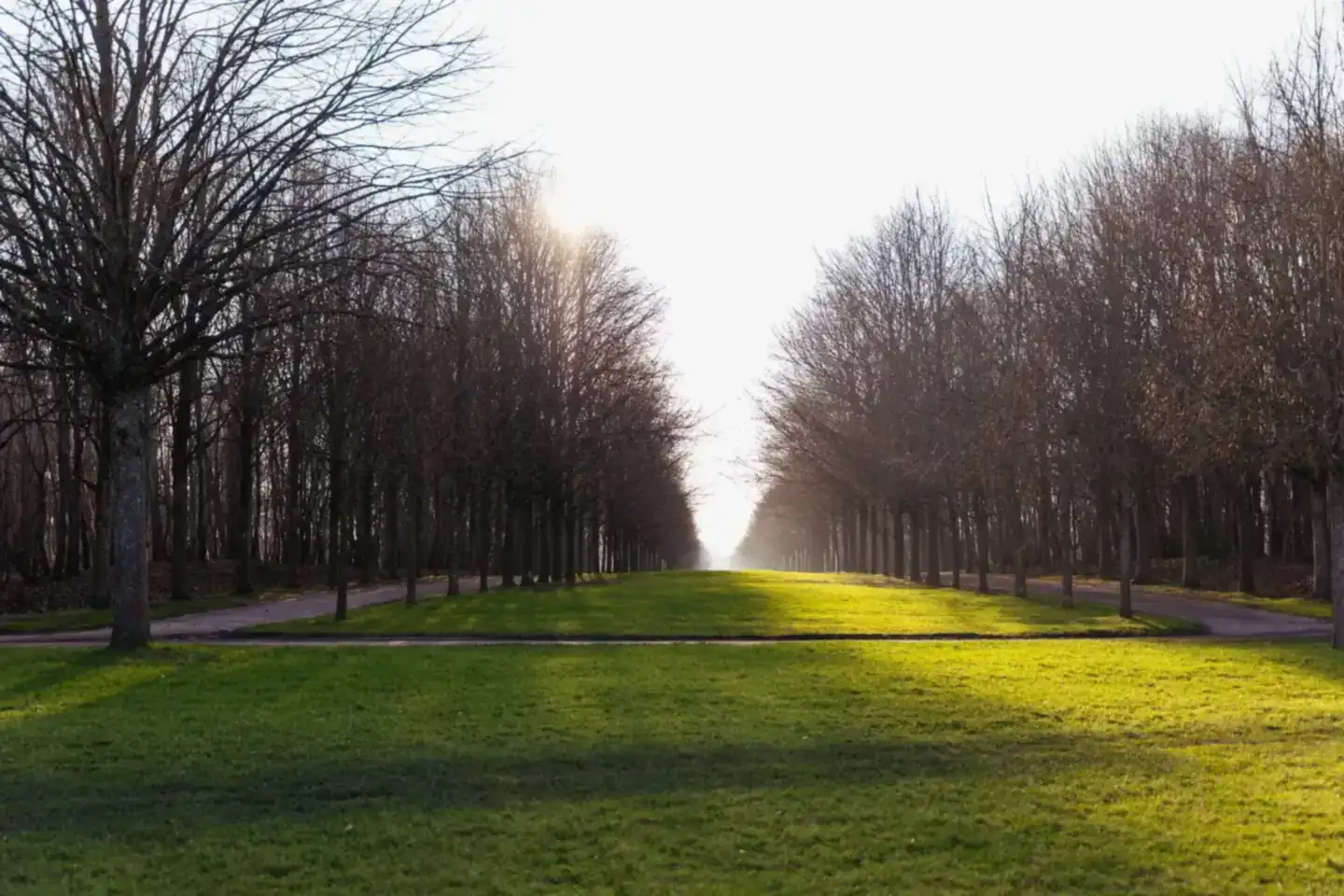 A woman standing confidently in a sunlit outdoor park.