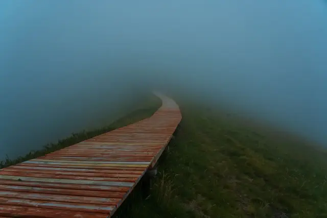 A wooden boardwalk path disappearing into thick fog.